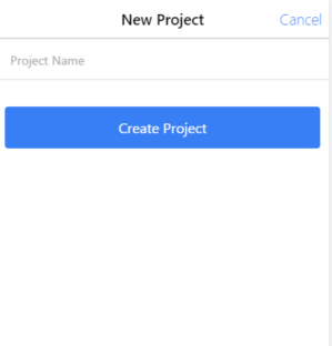 New Project Form